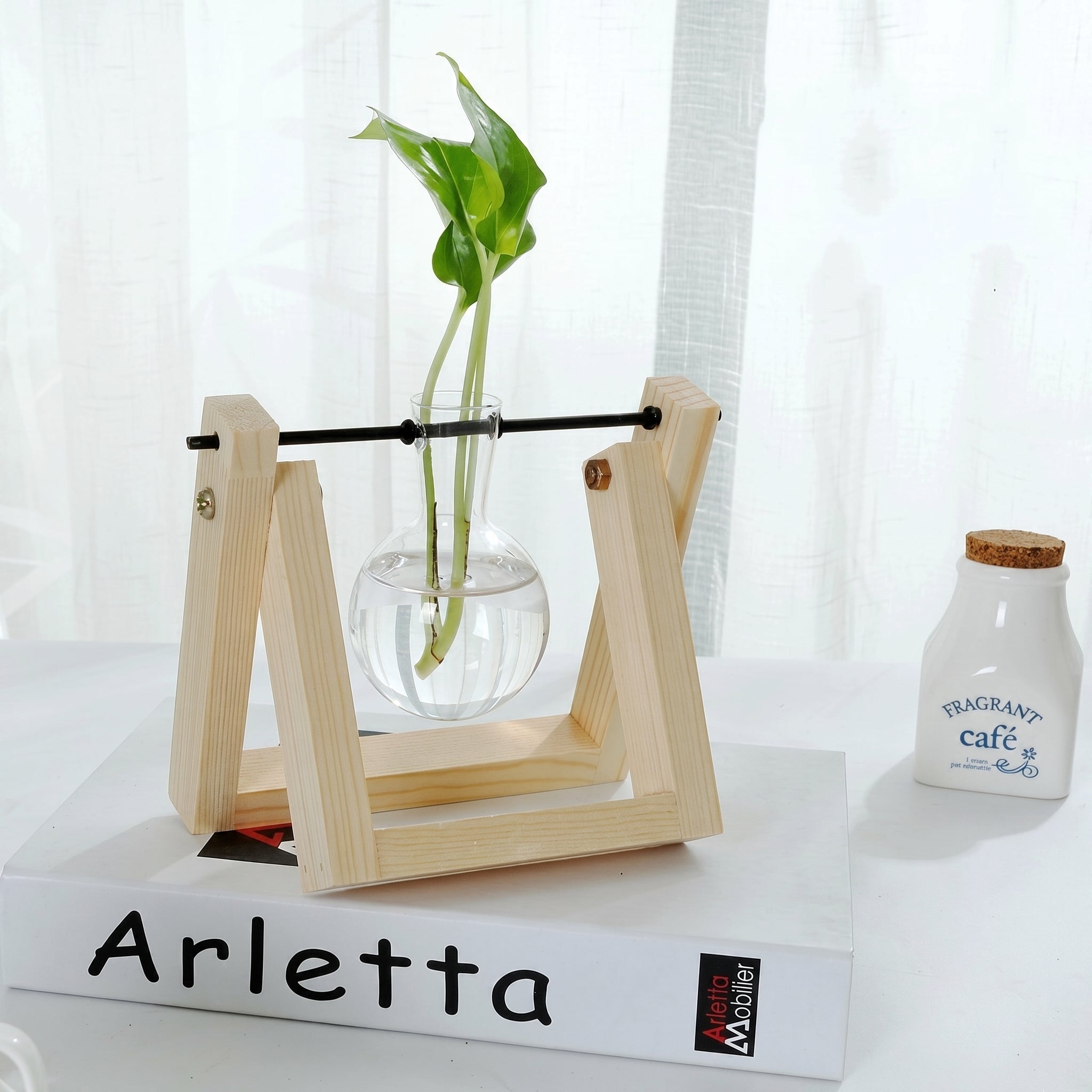 Vaso in vetro idroponico con supporto in legno per piante