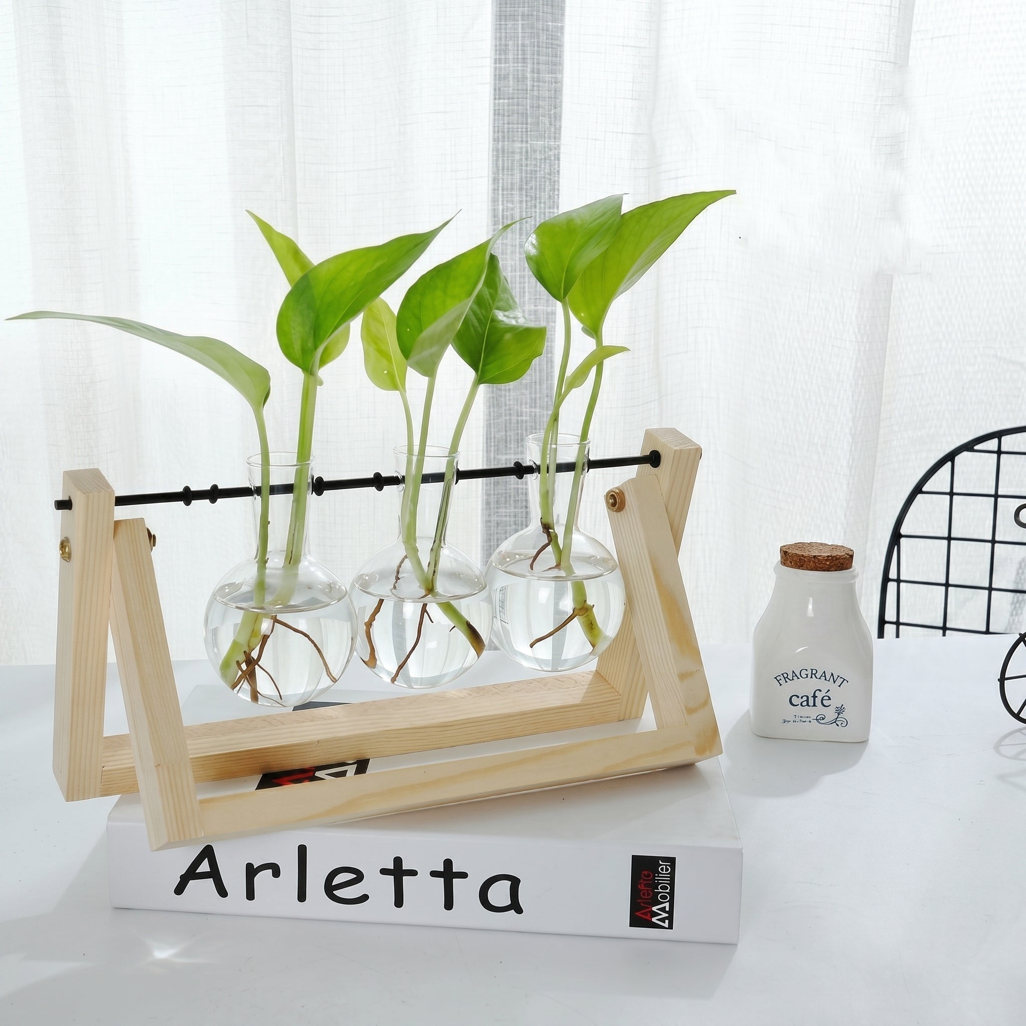 Vaso in vetro idroponico con supporto in legno per piante