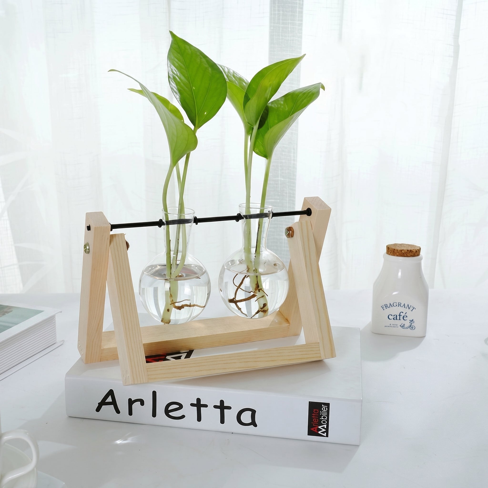 Vaso in vetro idroponico con supporto in legno per piante