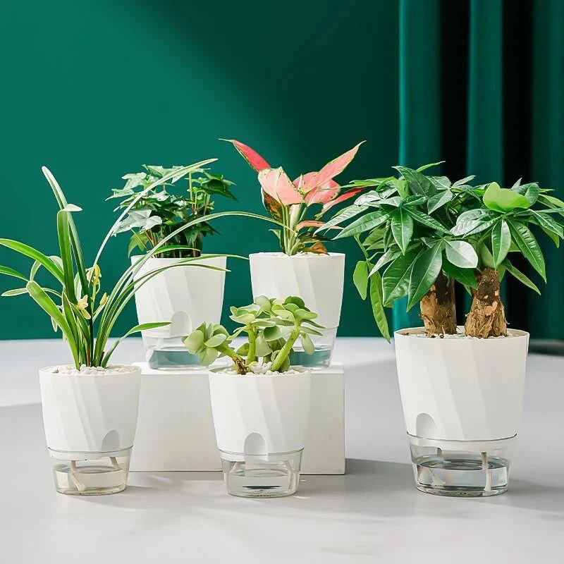 HYDROPOT – Vaso di Fiori in Plastica Autoirrigante per Giardinaggio Indoor Senza Terra