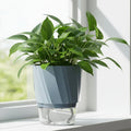 HYDROPOT – Vaso di Fiori in Plastica Autoirrigante per Giardinaggio Indoor Senza Terra
