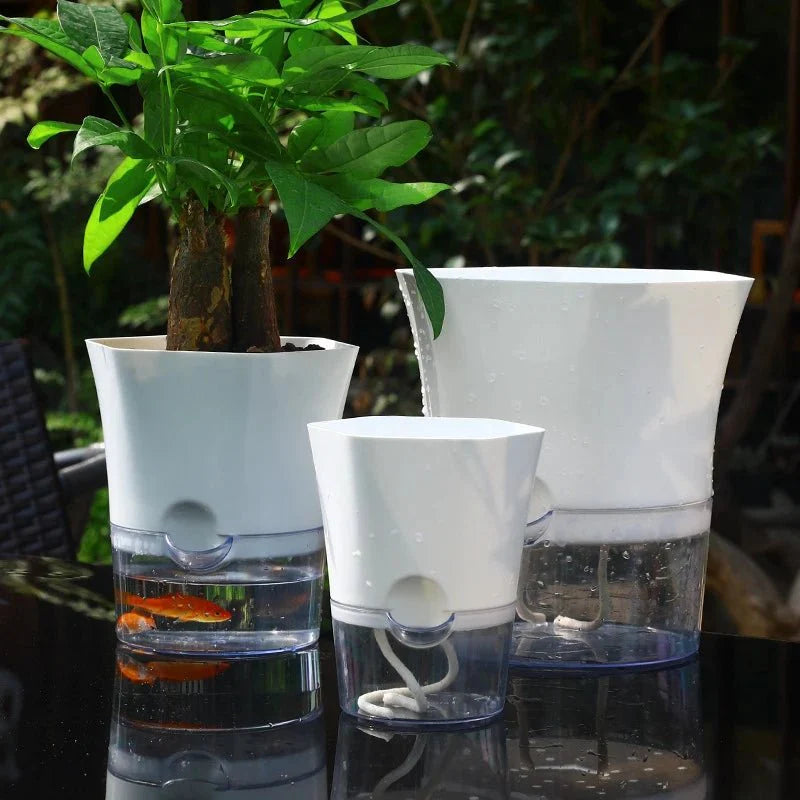 HYDROPOT – Vaso di Fiori in Plastica Autoirrigante per Giardinaggio Indoor Senza Terra