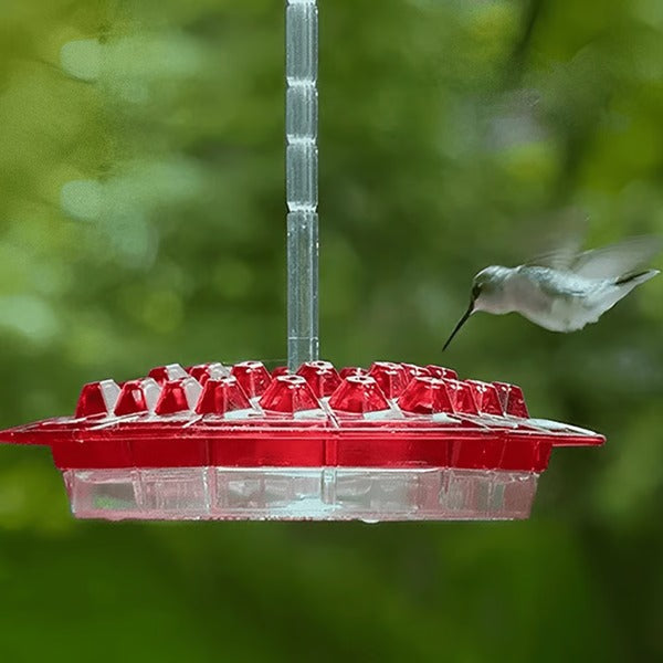 Mangiatore per Colibrì con Moat Anticrittogamico