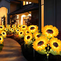 1+1 GRATIS | SolarBloom™ | Il vostro paradiso in giardino fiorisce alla luce calda del sole