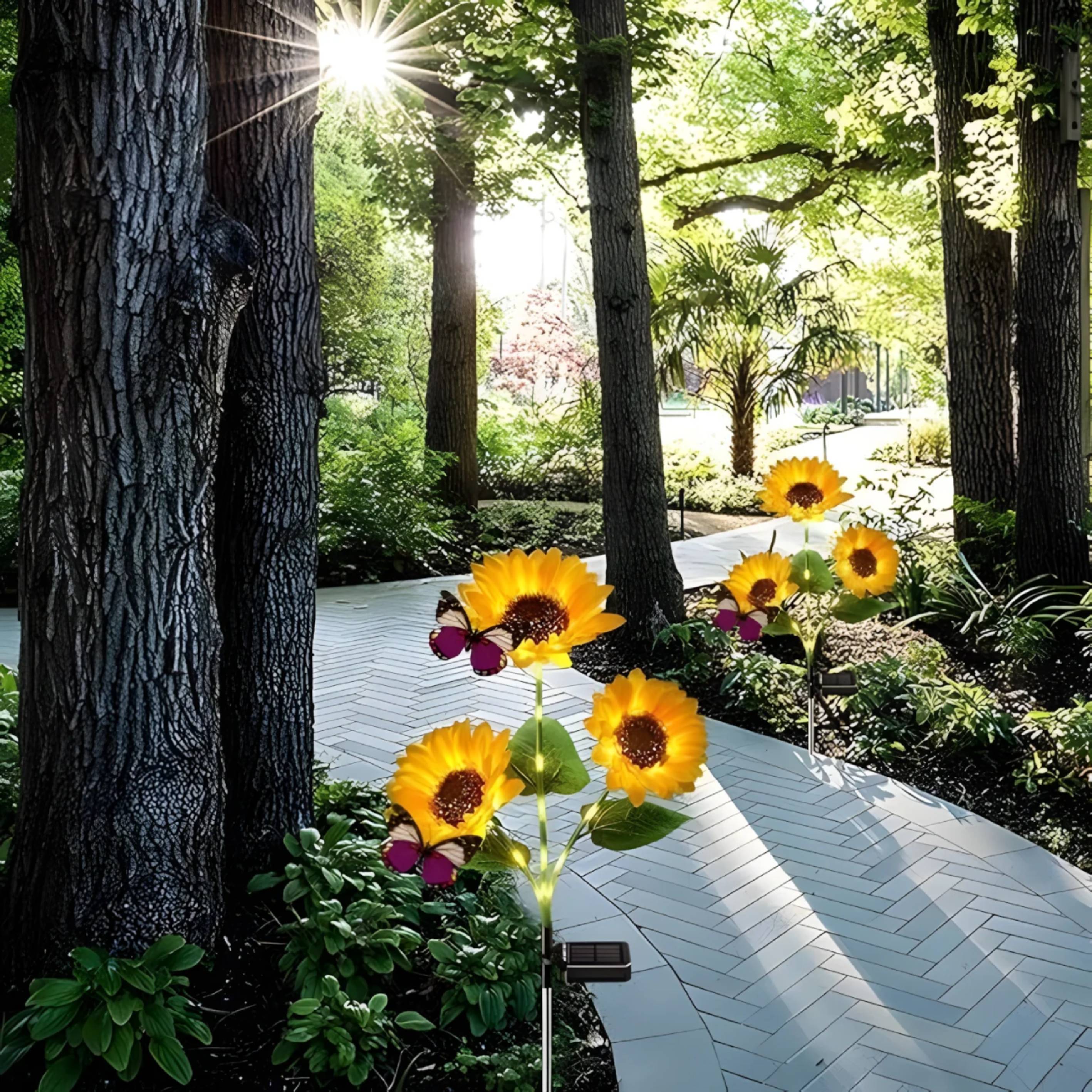 1+1 GRATIS | SolarBloom™ | Il vostro paradiso in giardino fiorisce alla luce calda del sole