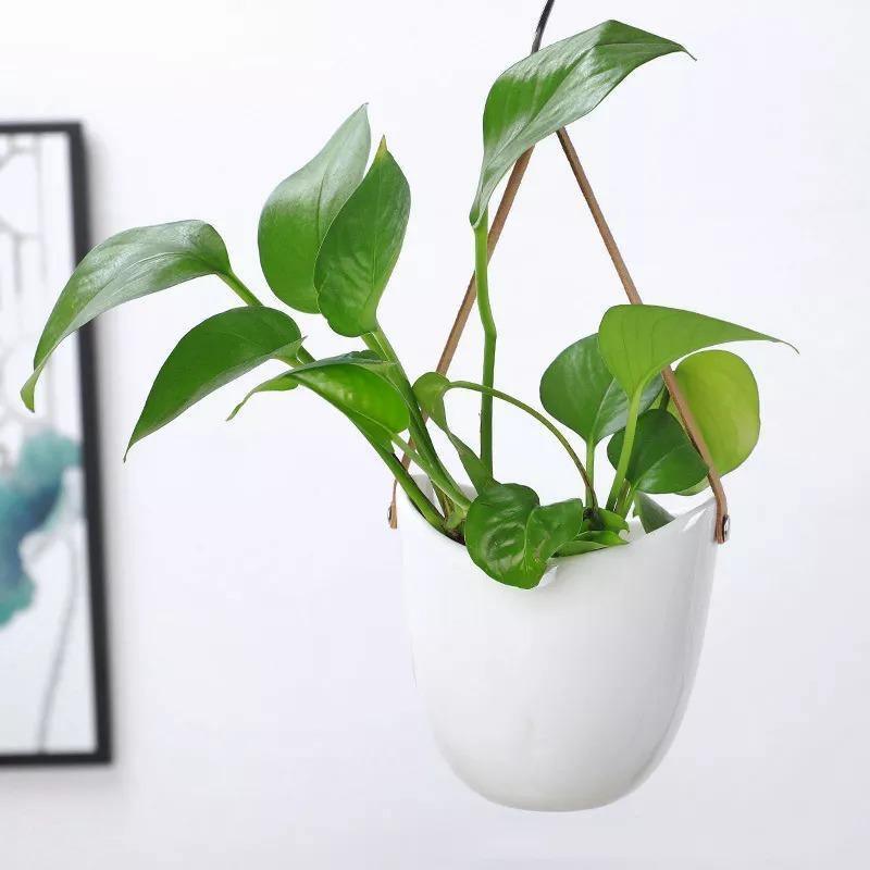 Vasi da fiori in ceramica Garduruin | Eleganti supporti per piante | Decorazione per la casa e il giardino