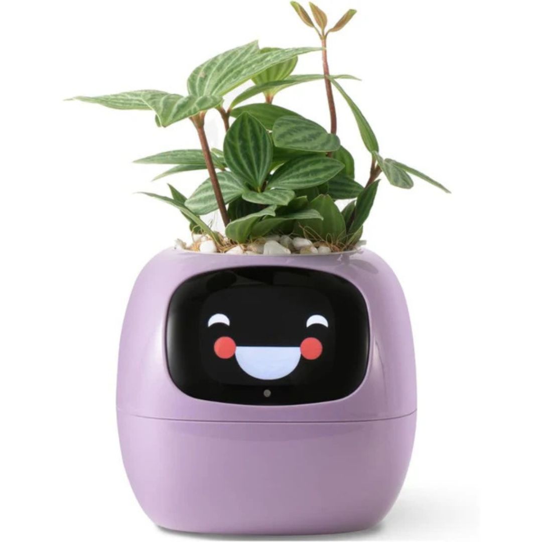Interactive AI Plant Pot with Smart Care & Expressions