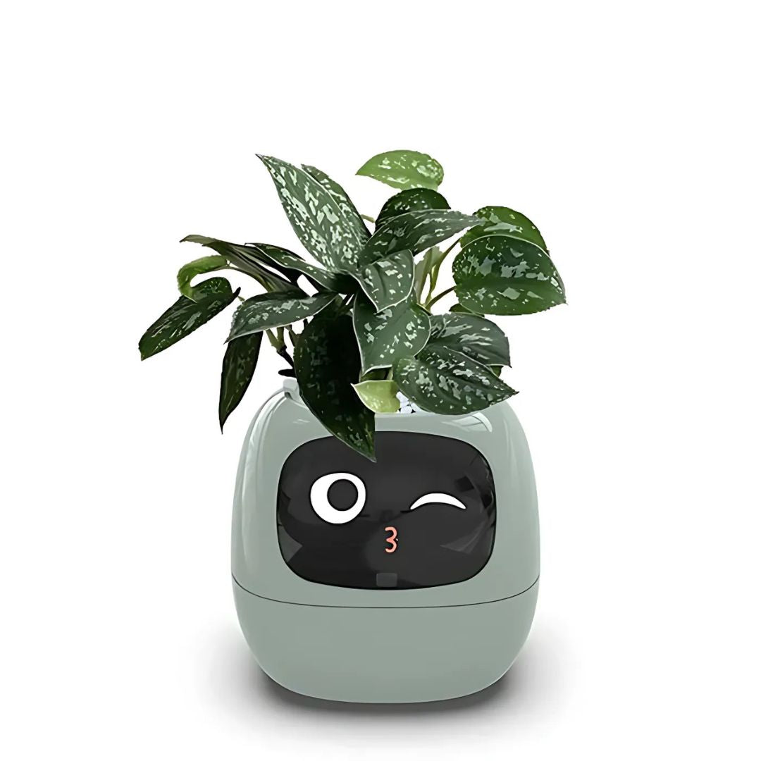 Interactive AI Plant Pot with Smart Care & Expressions