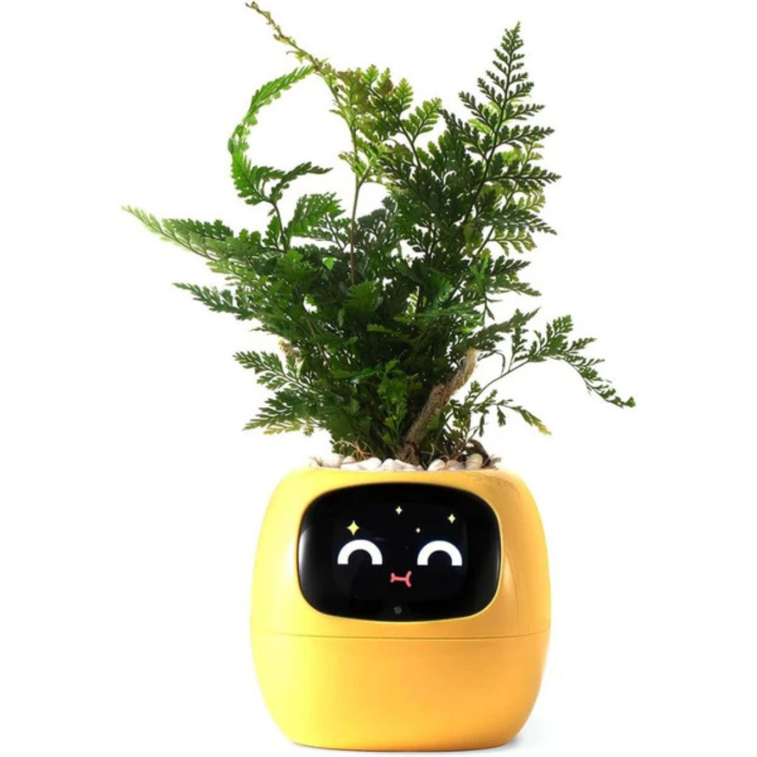 Interactive AI Plant Pot with Smart Care & Expressions