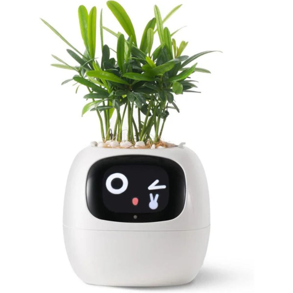 Interactive AI Plant Pot with Smart Care & Expressions