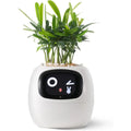 Interactive AI Plant Pot with Smart Care & Expressions