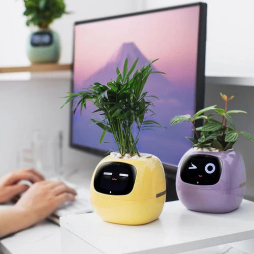 Interactive AI Plant Pot with Smart Care & Expressions