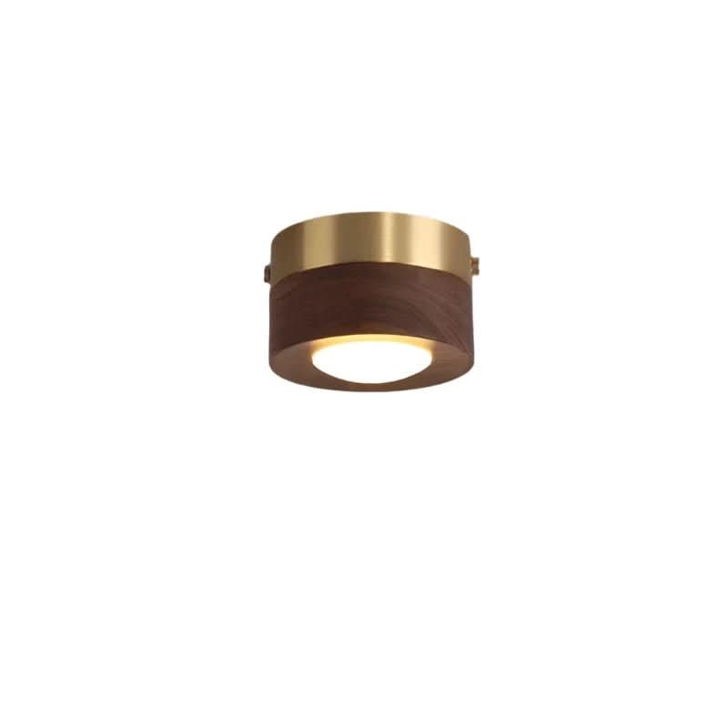 LignaShine – Luce Ambientale in Legno di Noce Naturale