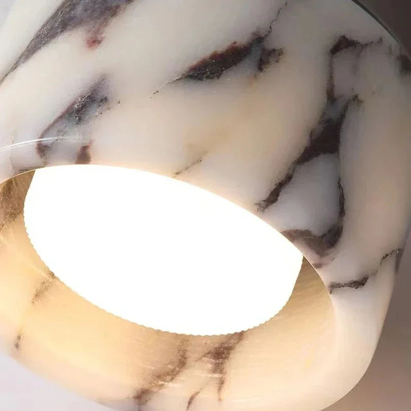 Erasmus Downlight