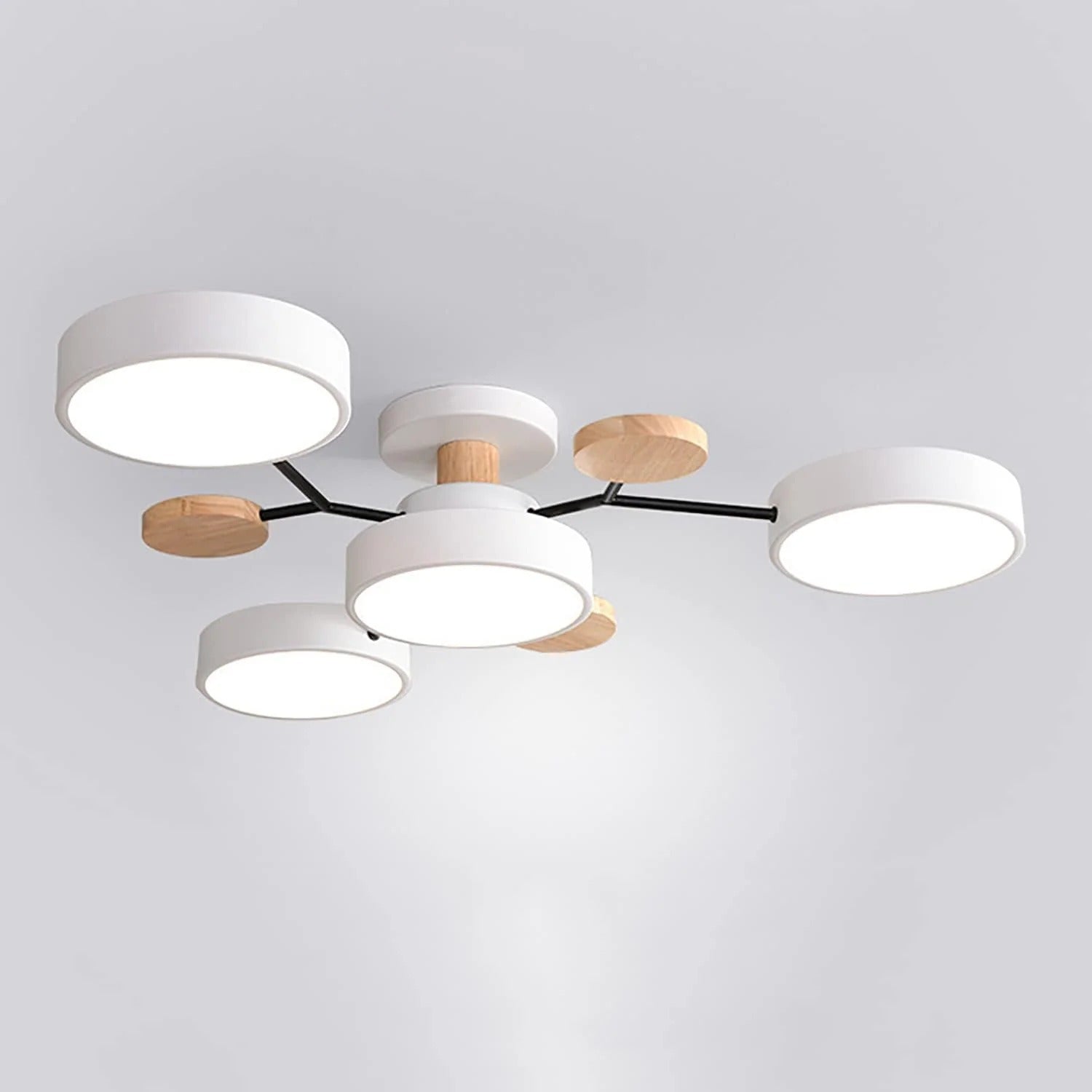Lampadario Moderno a LED per Soffitto per Soggiorno
