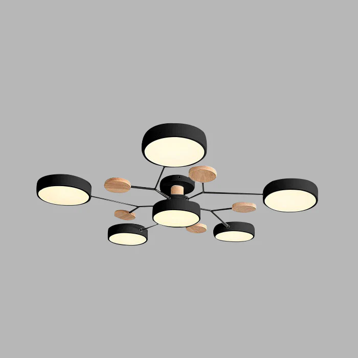 Lampadario Moderno a LED per Soffitto per Soggiorno