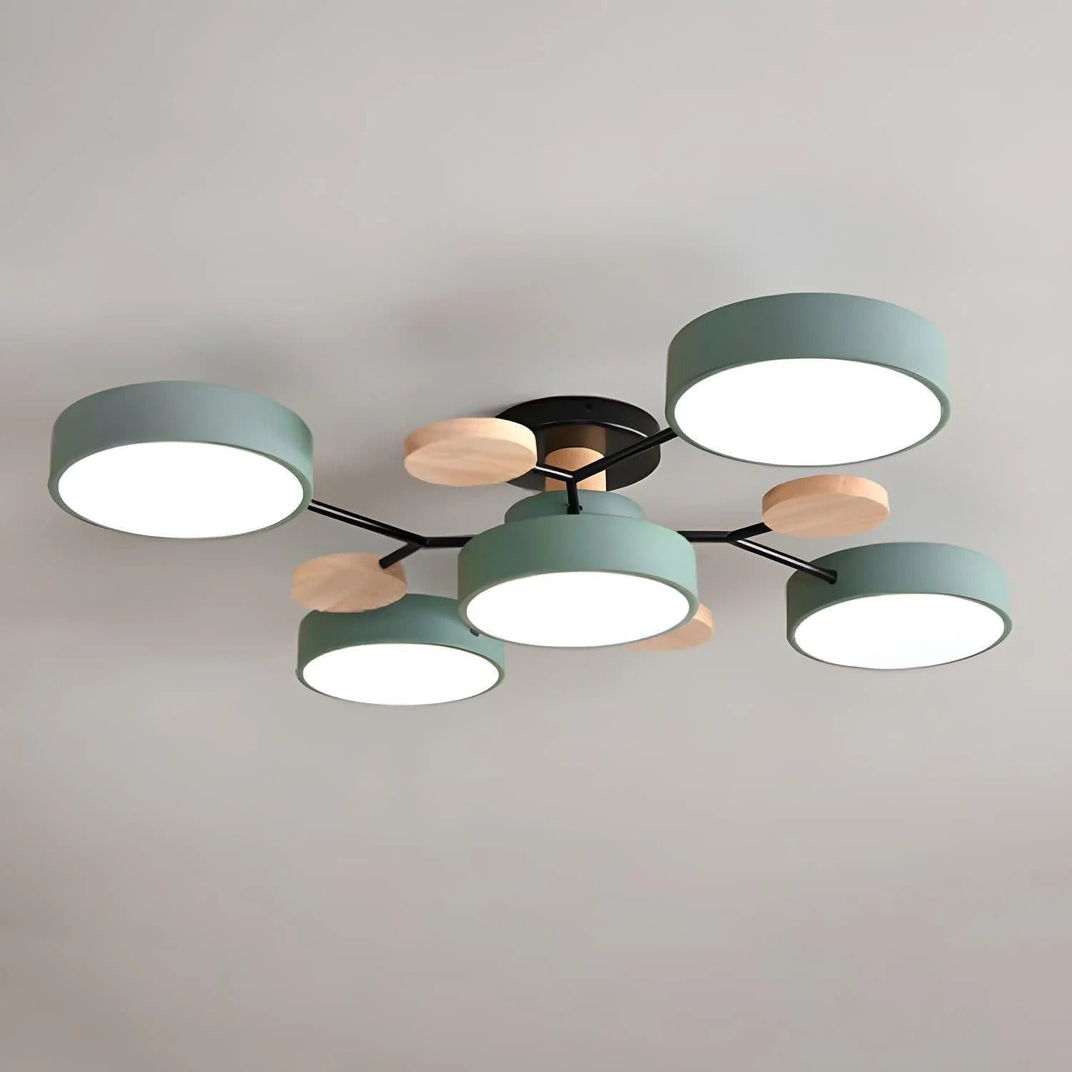Modern LED Ceiling Light Chandelier for Living Room