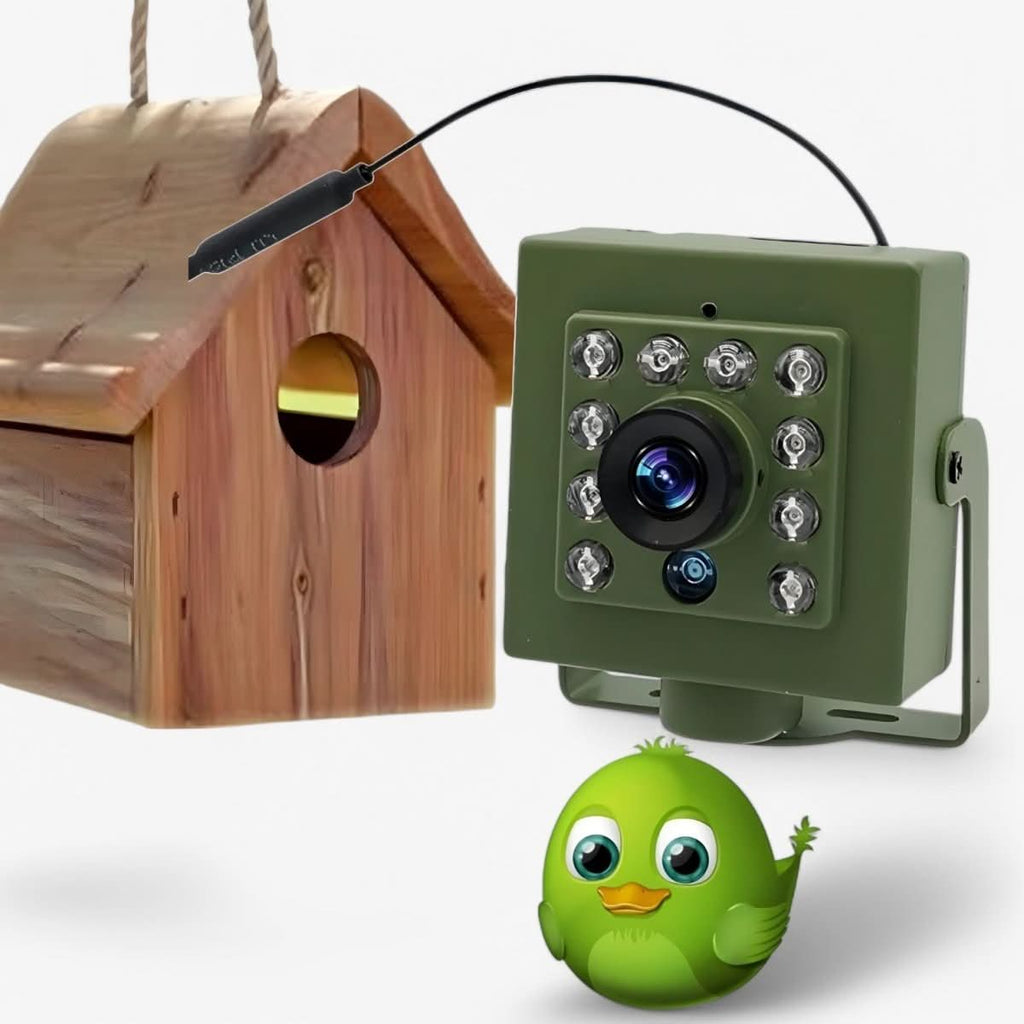 Telecamera per Nidi di Uccelli WiFi HD Telecamera Esterna con Visione Notturna