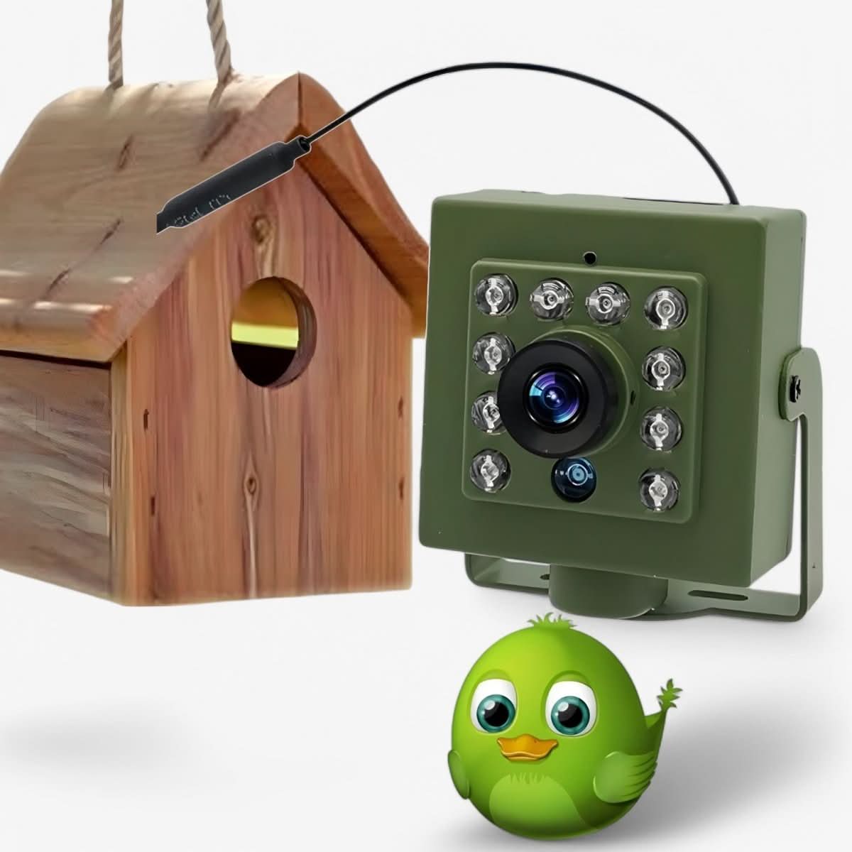 Telecamera per Nidi di Uccelli WiFi HD Telecamera Esterna con Visione Notturna