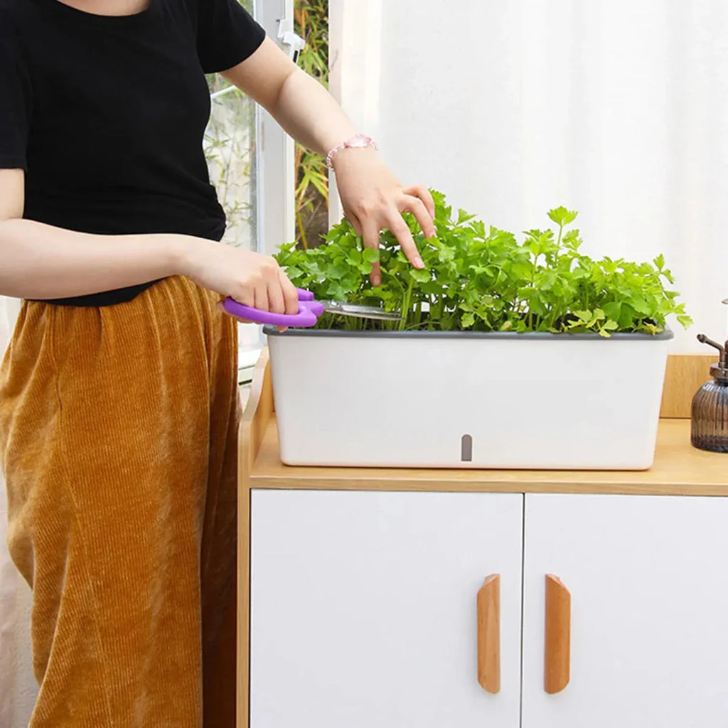 PLANTMATE – Vaso Autoinnaffiante per un Controllo dell'Idratazione Costante