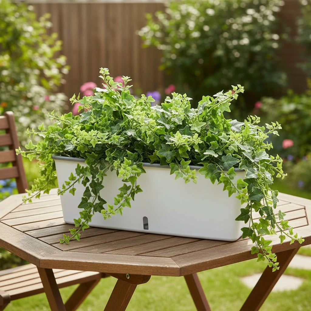 PLANTMATE – Vaso Autoinnaffiante per un Controllo dell'Idratazione Costante