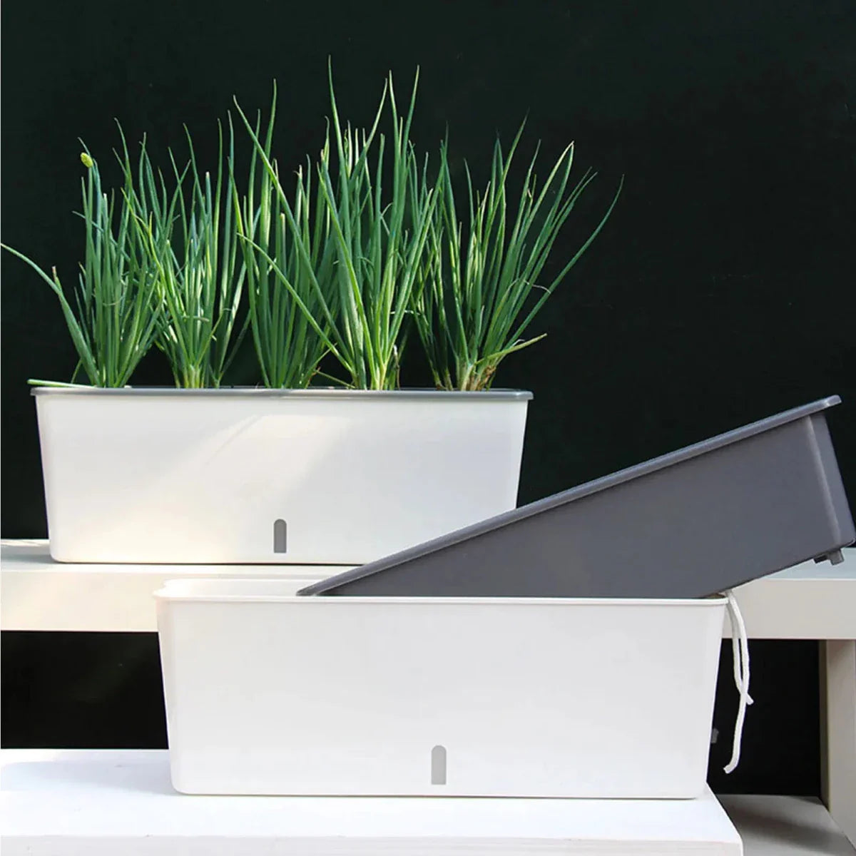 PLANTMATE – Vaso Autoinnaffiante per un Controllo dell'Idratazione Costante
