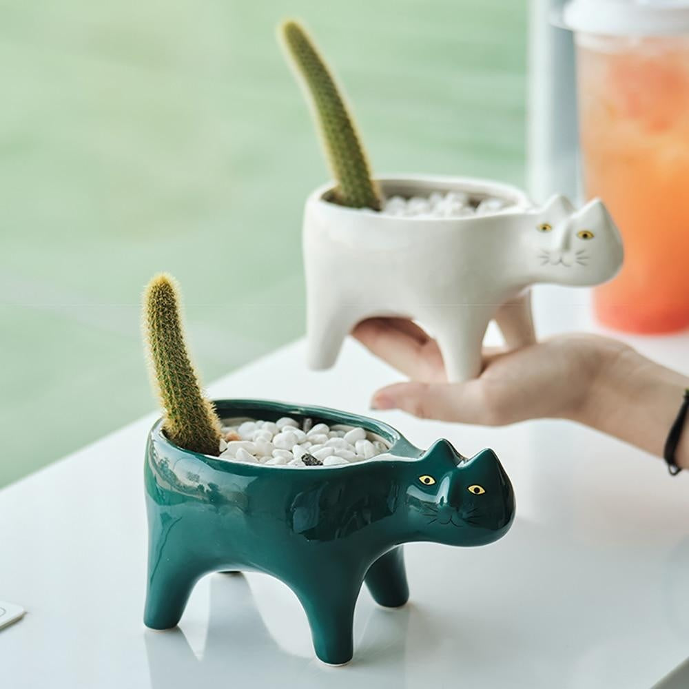 Kat Pot