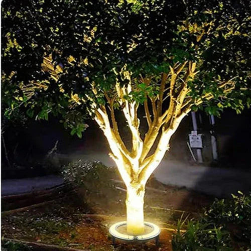 Valeris | Illuminazione LED per alberi con design a anello a terra da 360° e grado di protezione IP65 per giardini e paesaggi