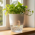 ROOTFLOAT – Vaso Idroponico Appeso Autoirrigante per Piante da Interno