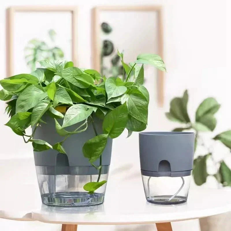 ROOTFLOAT – Vaso Idroponico Appeso Autoirrigante per Piante da Interno