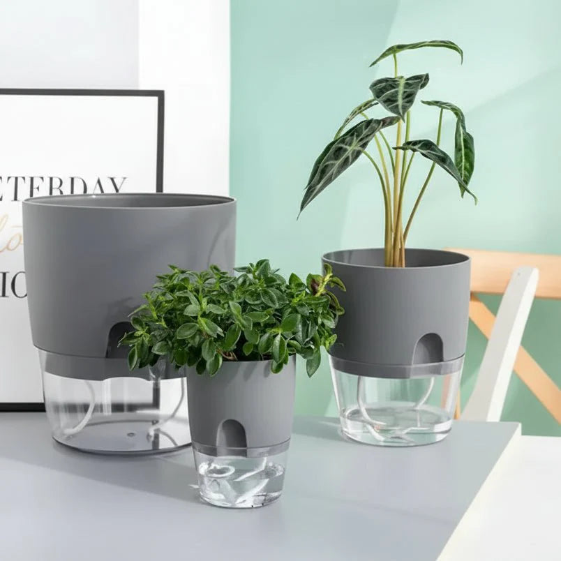 ROOTFLOAT – Vaso Idroponico Appeso Autoirrigante per Piante da Interno