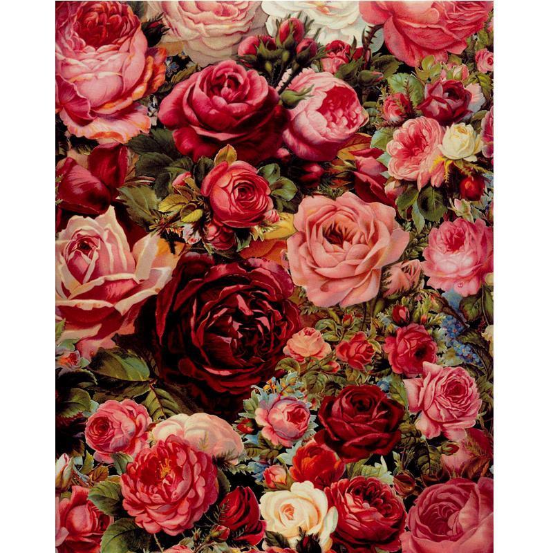 Rose Universe - Set di Pittura per Numeri Van-Go