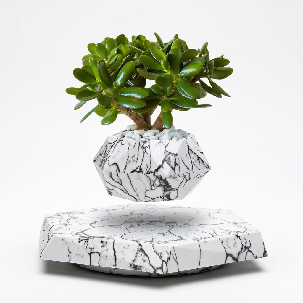 Vaso Fluttuante Magnetico con Base Decorativa