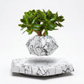 Vaso Fluttuante Magnetico con Base Decorativa