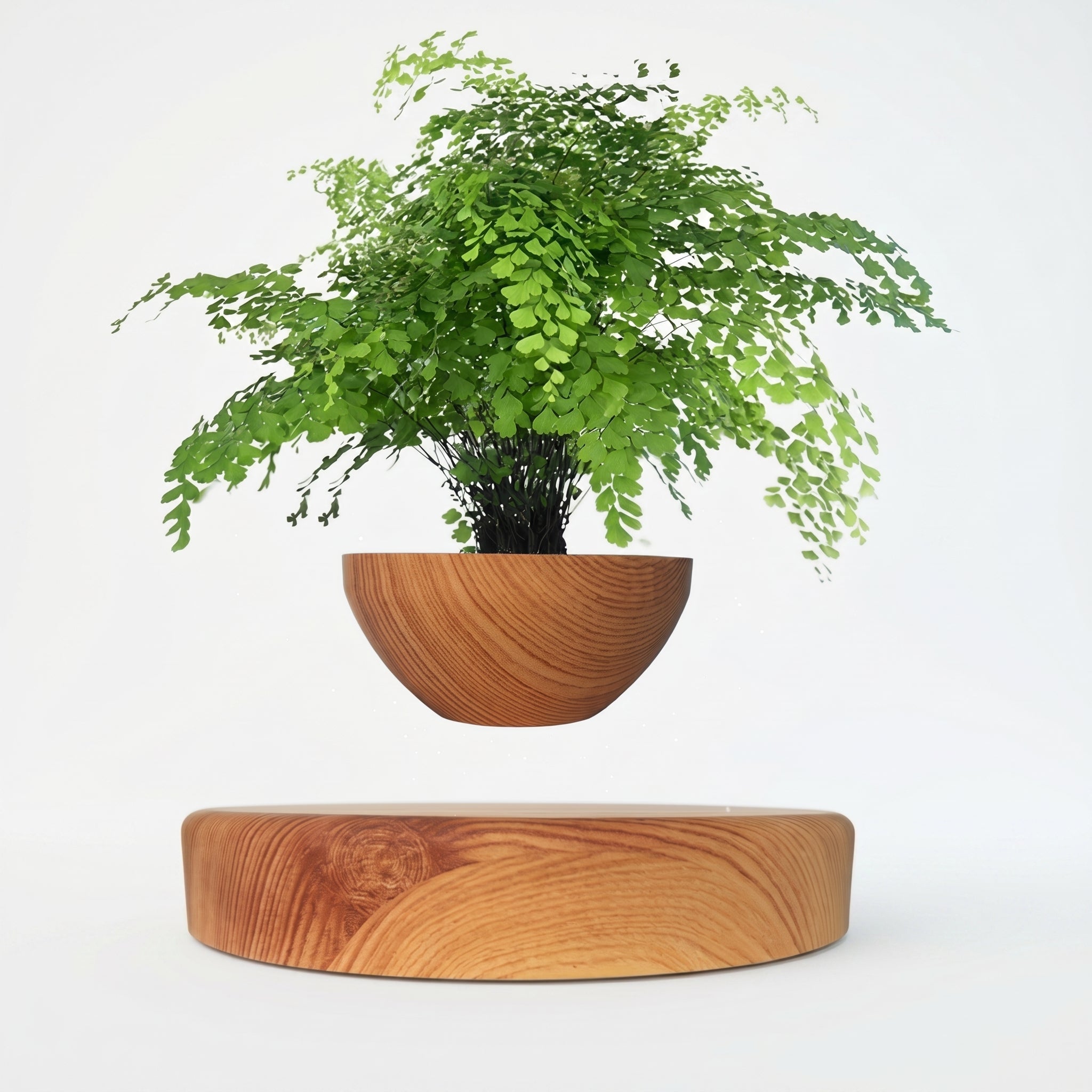 Vaso Fluttuante Magnetico con Base Decorativa