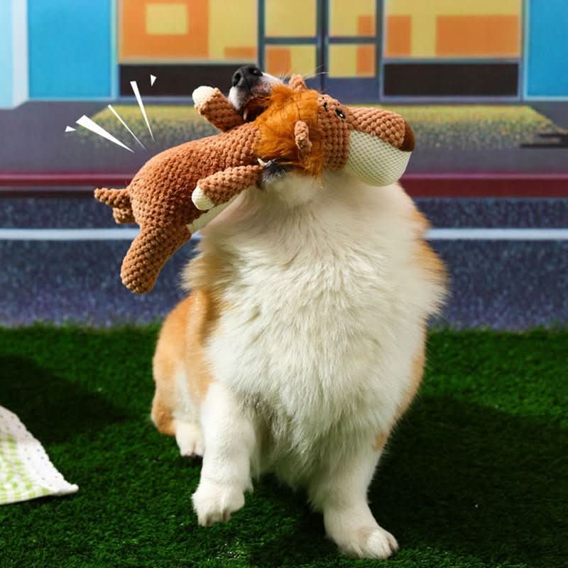 TOUGHPUP – Giocattolo Indistruttibile per Cani per Divertimento Infinito