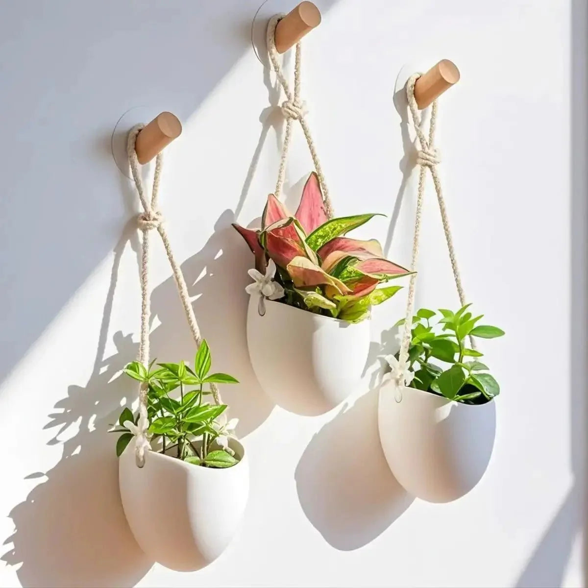 WALLORA – Elegante Vaso da Parete per un'Decorazione Verde Salvaspazio
