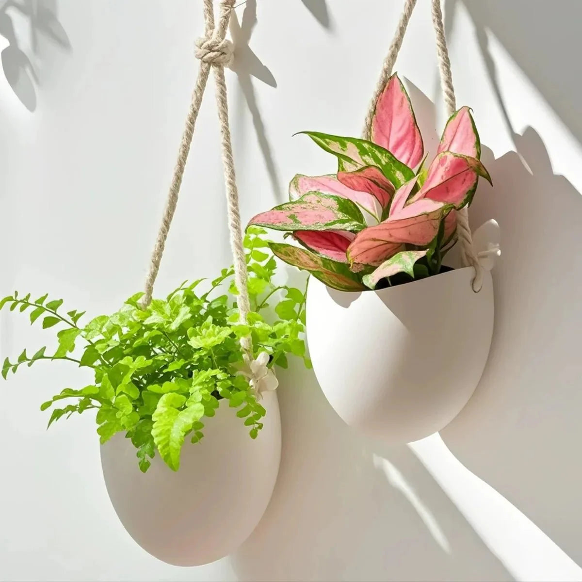 WALLORA – Elegante Vaso da Parete per un'Decorazione Verde Salvaspazio
