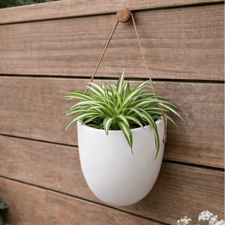 WALLORA – Elegante Vaso da Parete per un'Decorazione Verde Salvaspazio