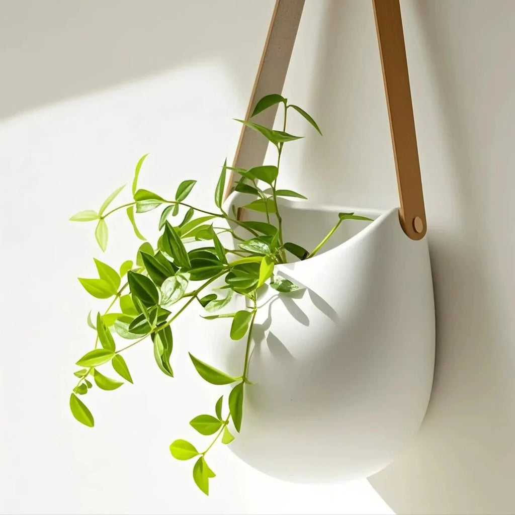 WALLORA – Elegante Vaso da Parete per un'Decorazione Verde Salvaspazio