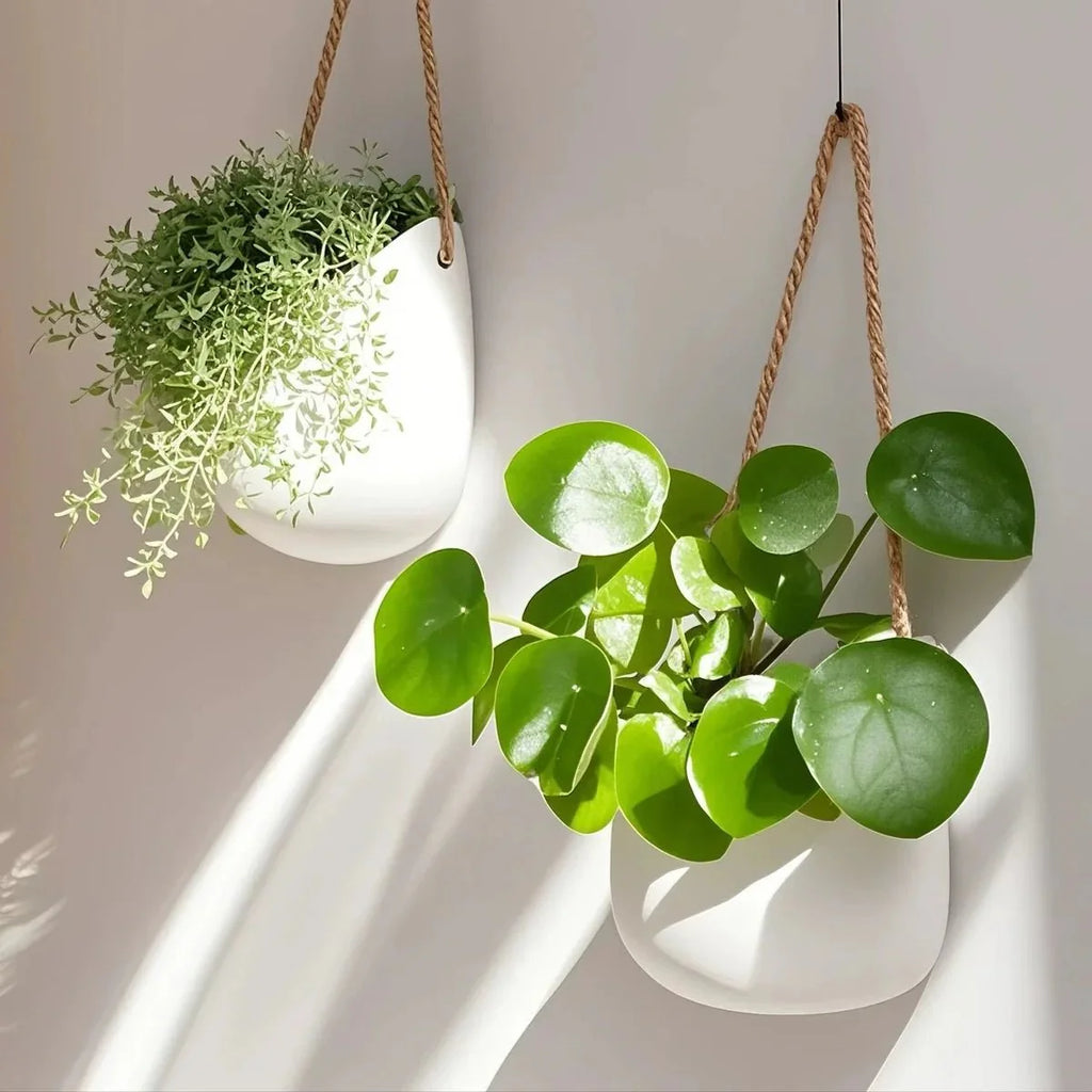 WALLORA – Elegante Vaso da Parete per un'Decorazione Verde Salvaspazio