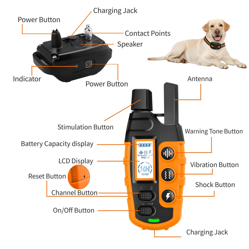 Collare Elettronico per Addestramento Cani Impermeabile con Controllo Remoto 3300Ft